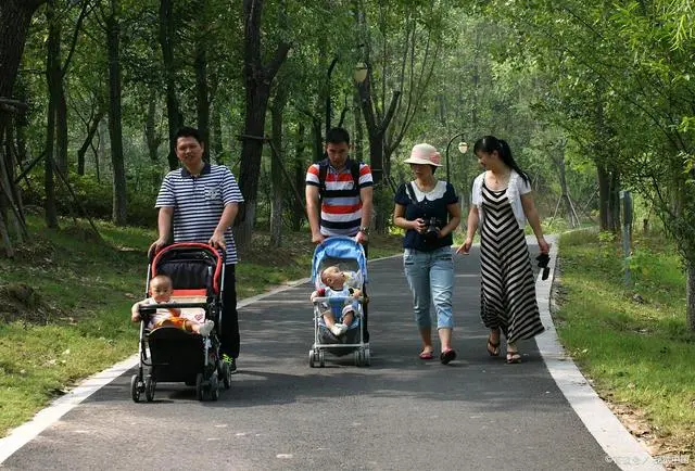 学科社会服务典型案例_学科社会实践活动_社会学科