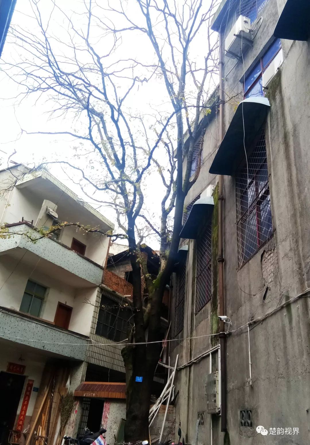 名人历史保康是谁_保康历史名人_名人历史保康简介