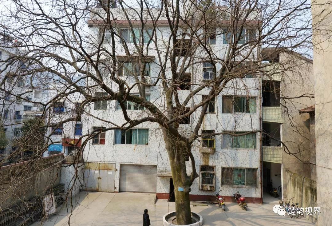 名人历史保康简介_保康历史名人_名人历史保康是谁