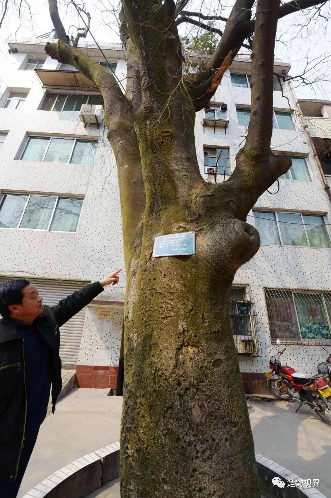 名人历史保康是谁_名人历史保康简介_保康历史名人