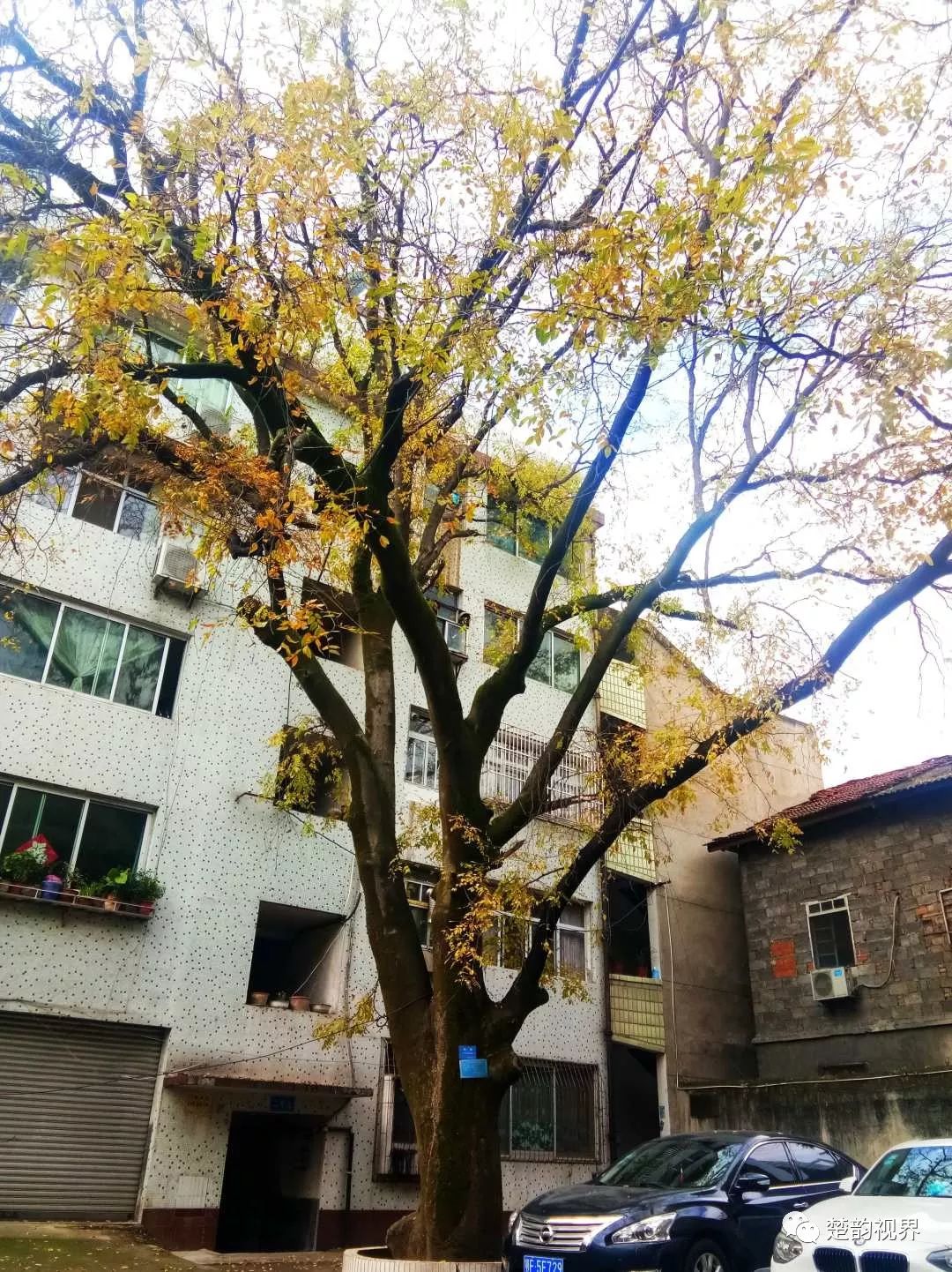 名人历史保康是谁_名人历史保康简介_保康历史名人