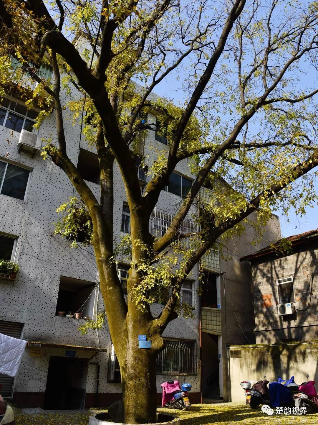 名人历史保康是谁_保康历史名人_名人历史保康简介