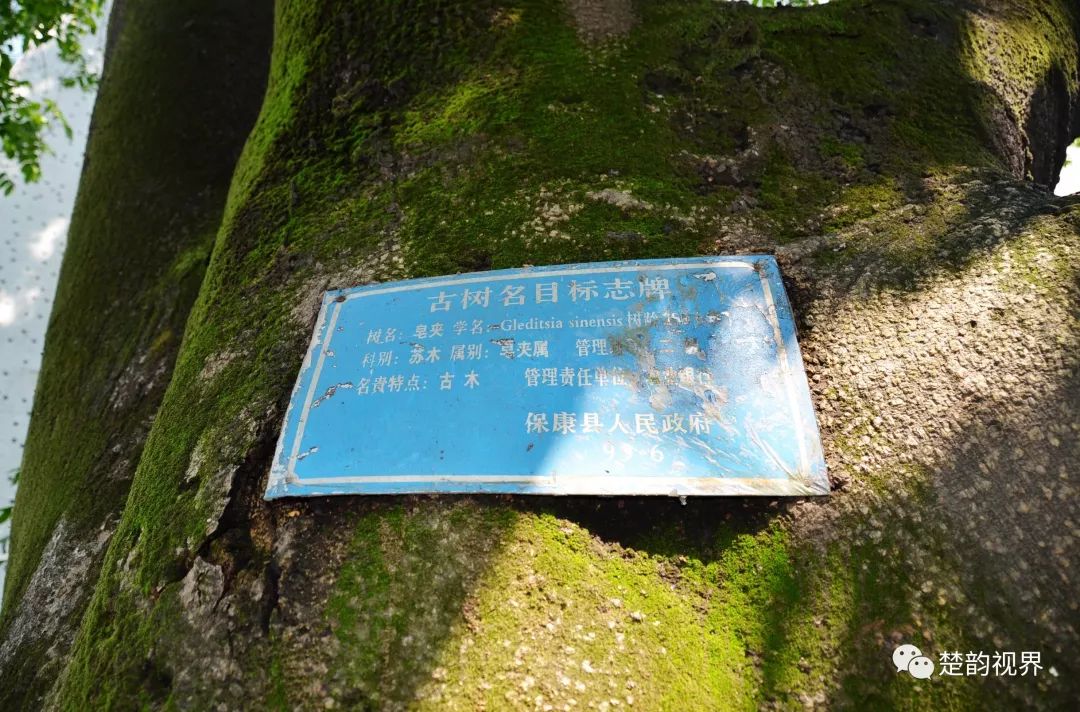 保康历史名人_名人历史保康是谁_名人历史保康简介