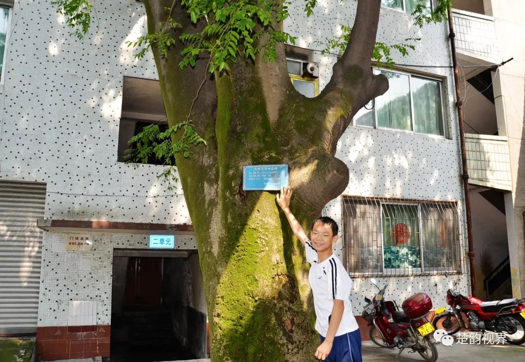 名人历史保康是谁_名人历史保康简介_保康历史名人