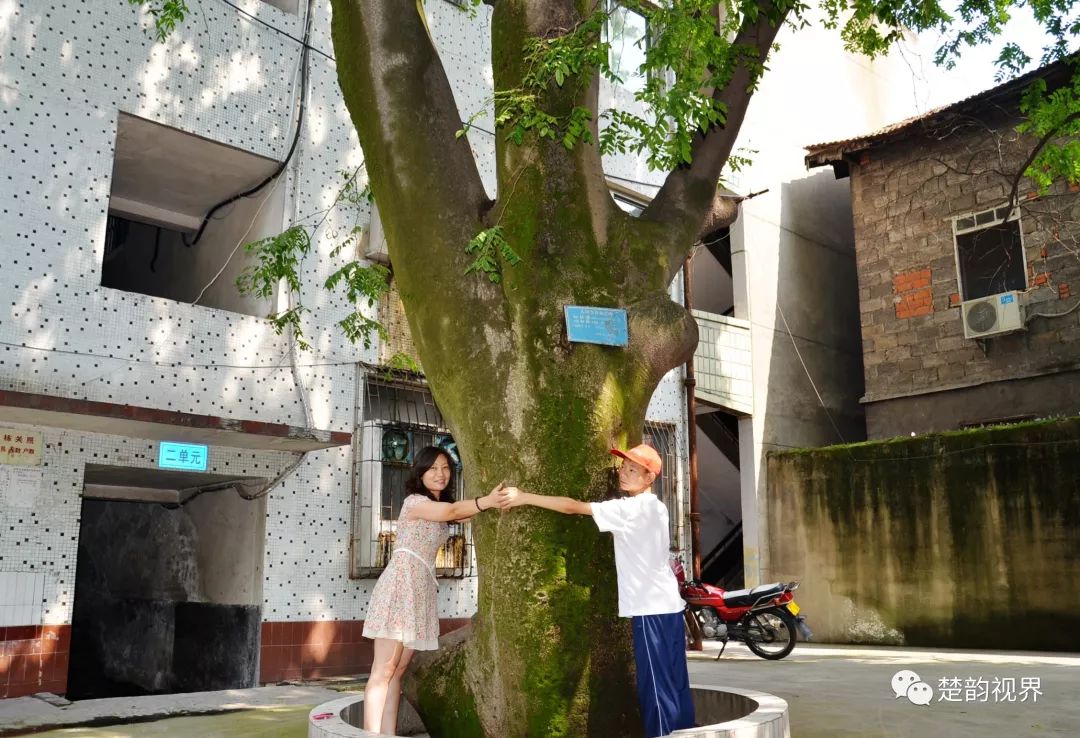 名人历史保康简介_保康历史名人_名人历史保康是谁