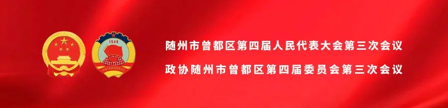 聚焦两会 | 邱立平参加区政协四届三次会议农业、科学技术、文化艺术和体育、社会福利和社会保障界别分组讨论