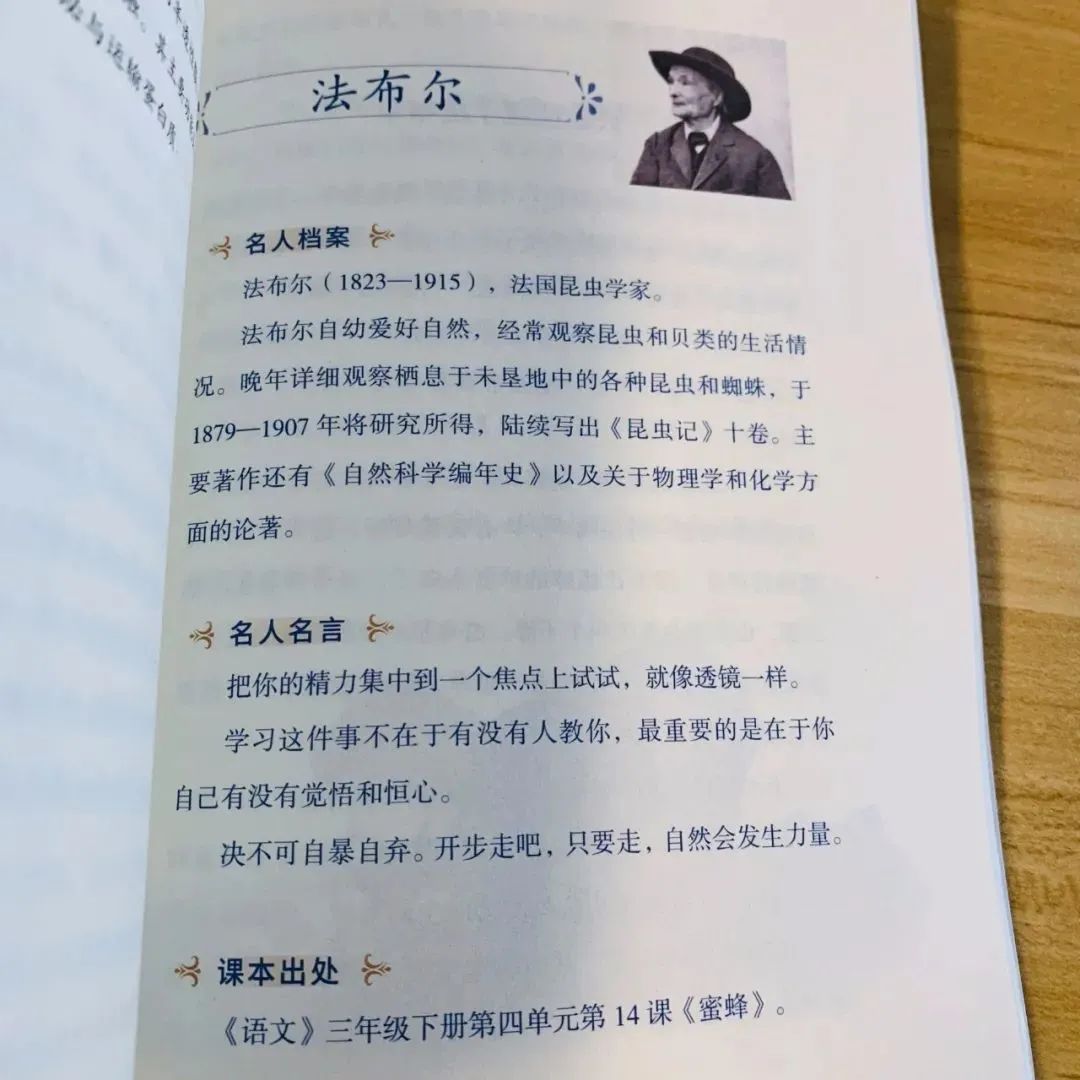 历史名人诸葛亮的生平故事_诸葛名人生平亮历史故事有哪些_历史名人诸葛亮的故事