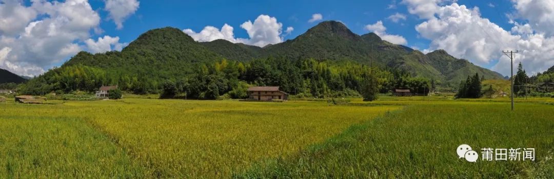 人物历史打封山育林的故事_封山育林打一英雄名_封山育林打一历史人物