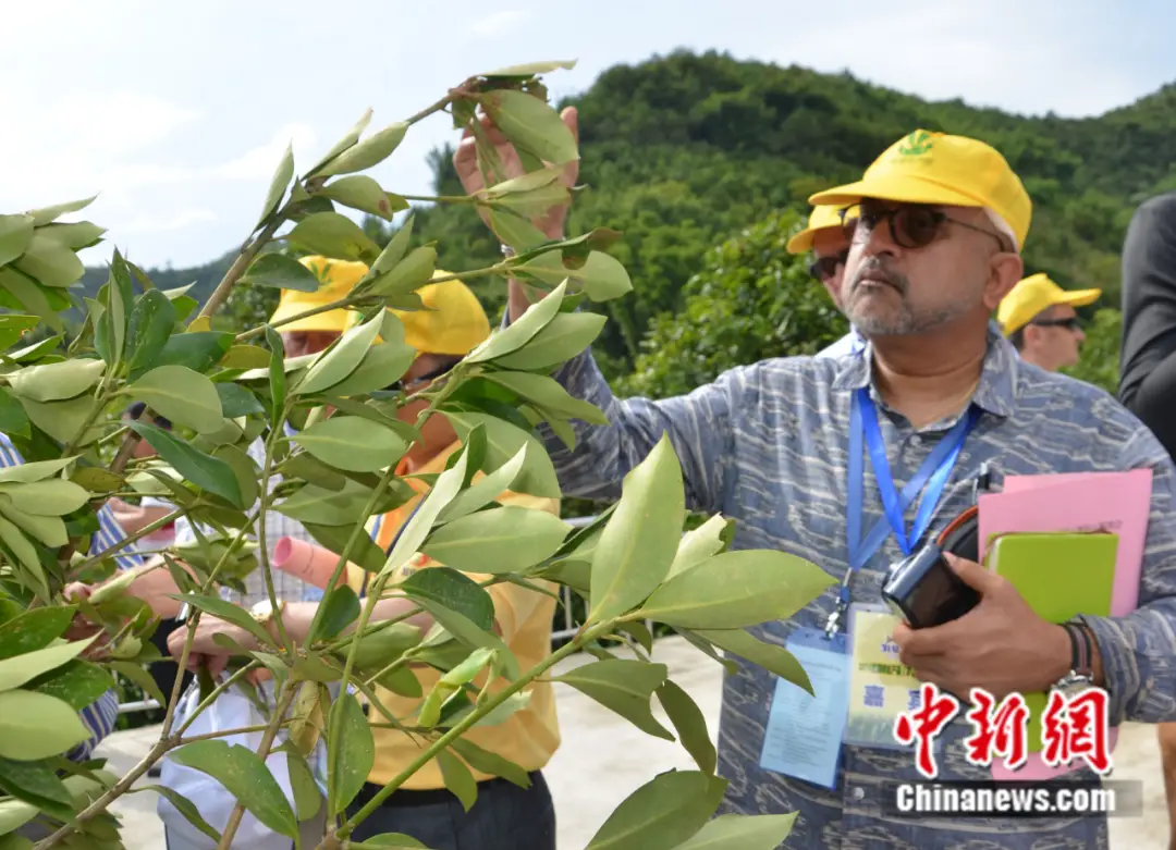 药书配方大全_药书_药书古籍