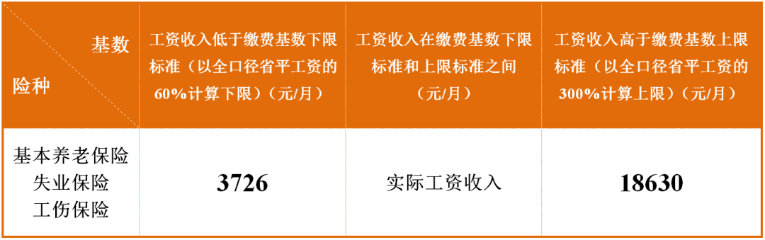 保险费计算社会保险金额_社会保险费的计算基础是什么_各项社会保险费计算