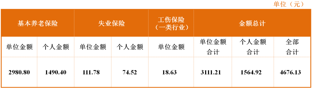 社会保险费的计算基础是什么_各项社会保险费计算_保险费计算社会保险金额