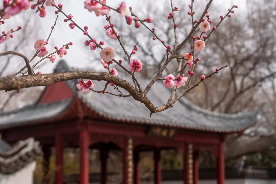 定西历史故事_定西近代有哪些名人_定西市历史名人